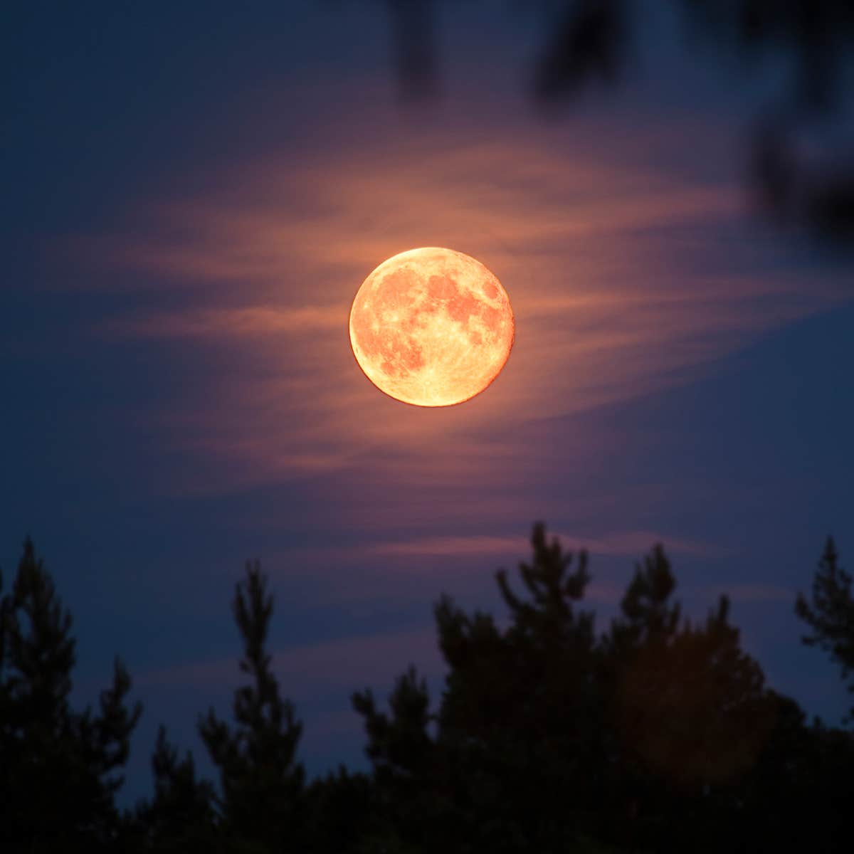 When Is Moon In October Blood Moon