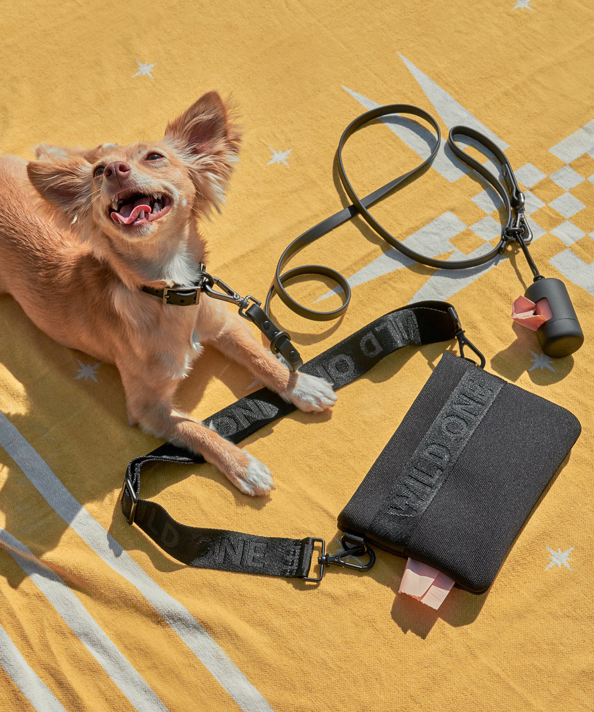 Chewy black friday deals