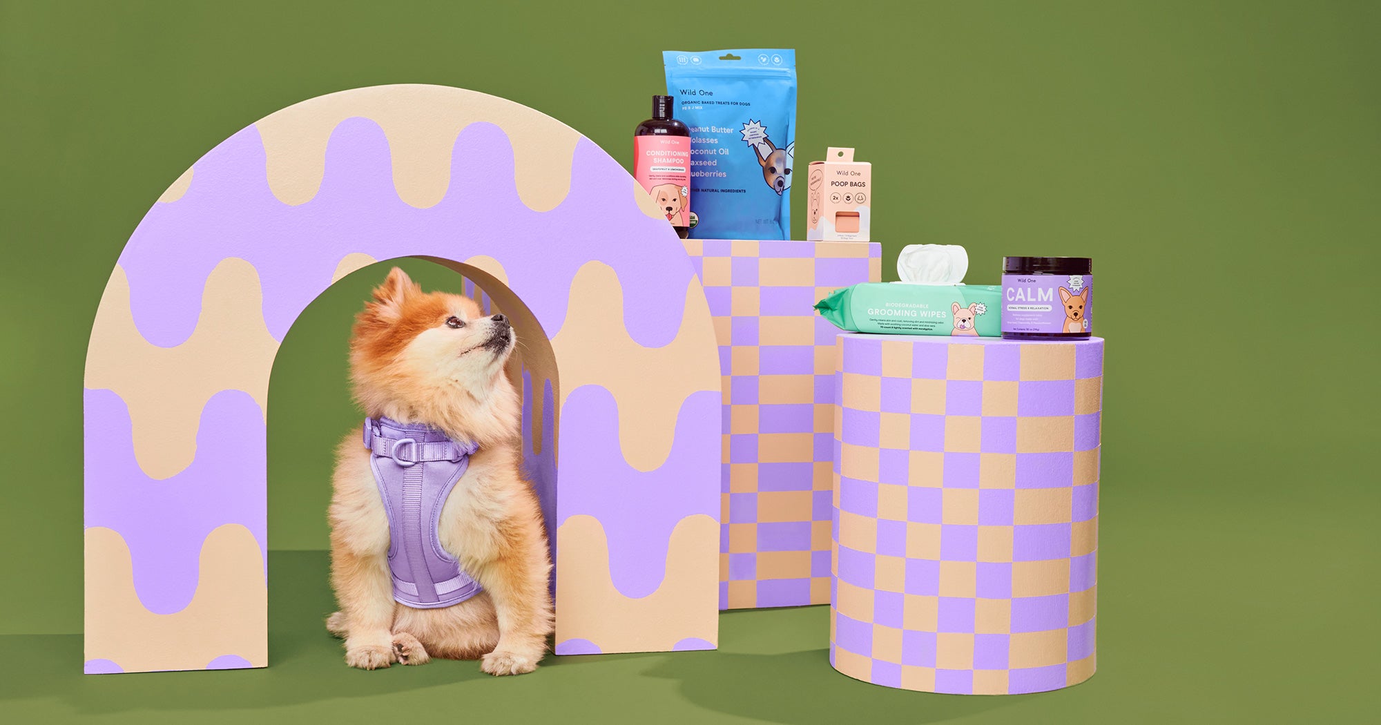 Best Petco Chewy Black Friday Deals For Dogs Cats 2021