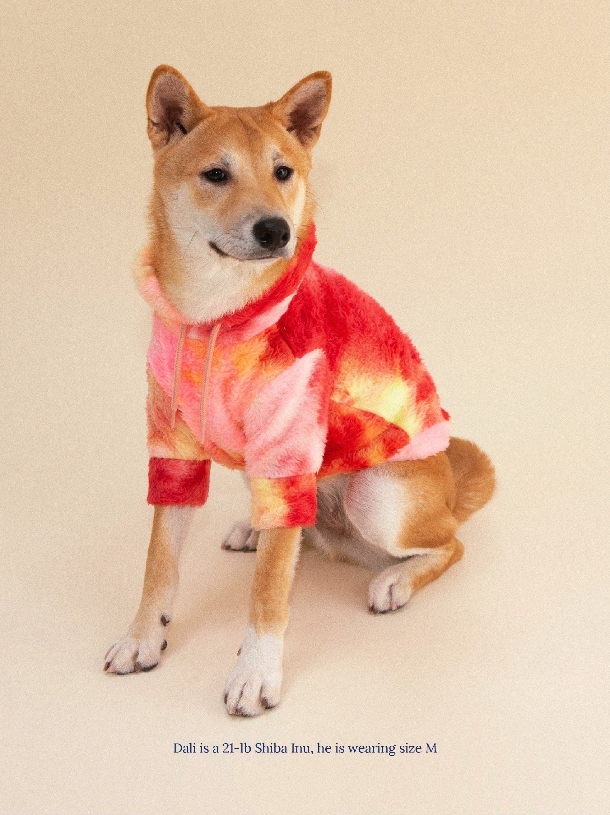 Little Beast + AC/DC Fleece Hoodie