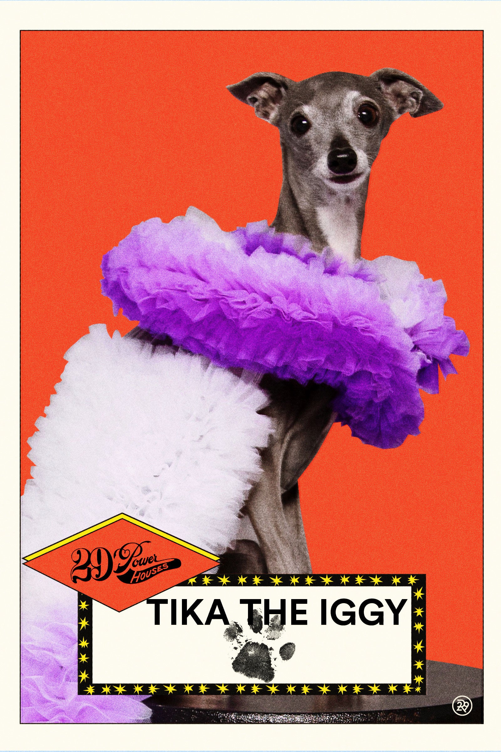 An illustration of Tika The Iggy