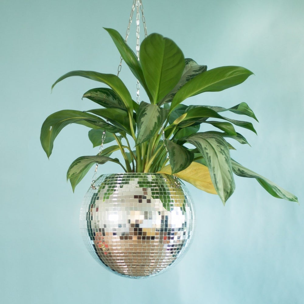 DadoDadoDesigns + Disco Ball Plant Hanger