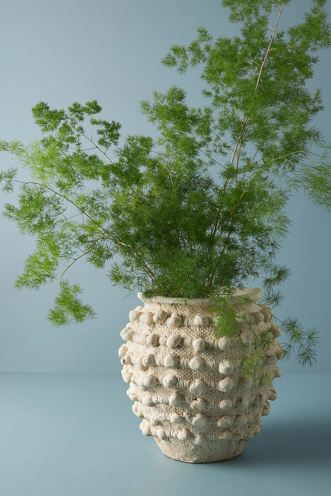 Anthropologie + Minka Textured Pot