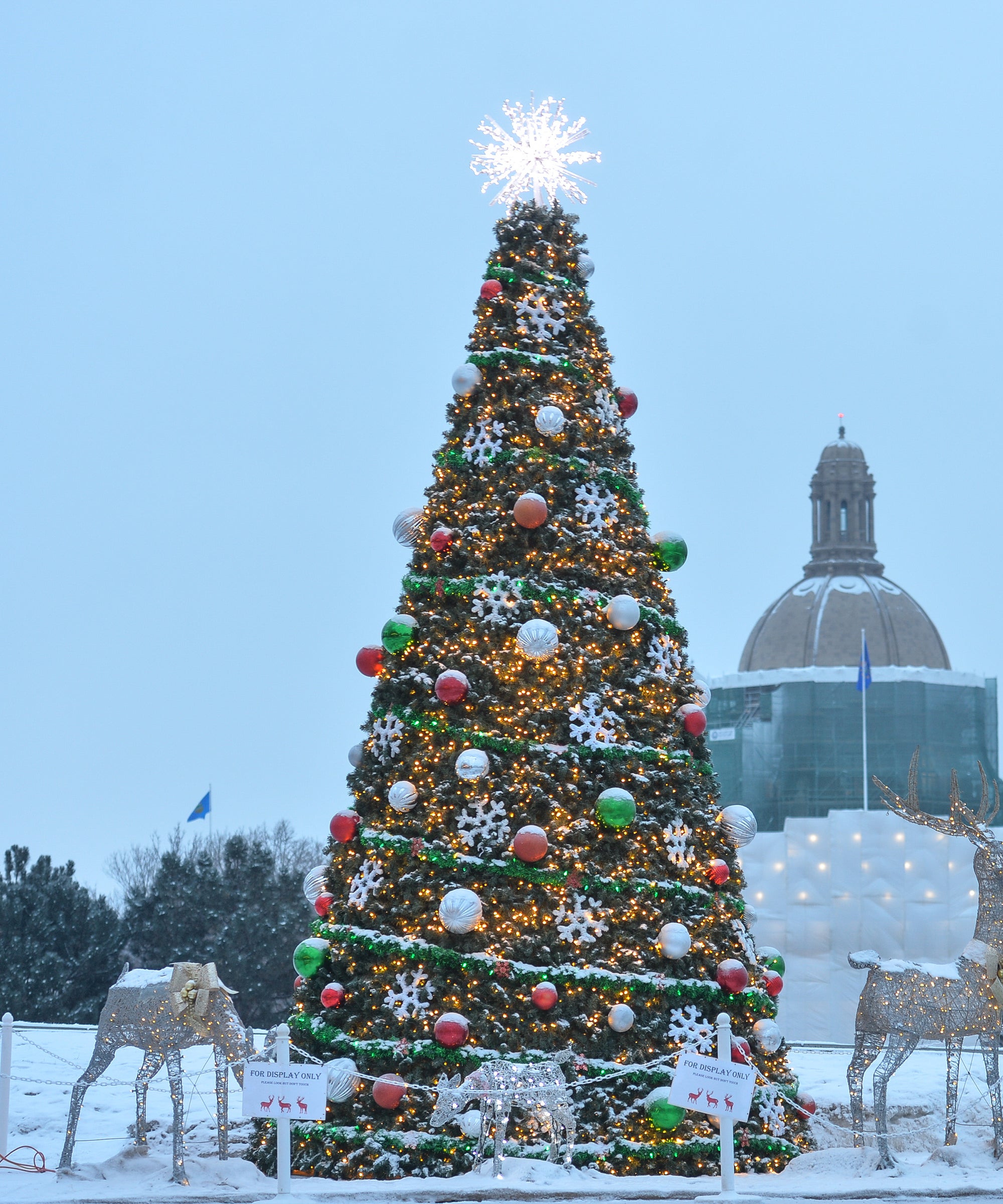 Ukraining Christmas Fest Houston 2022 What The Omicron Variants Means For Christmas Plans