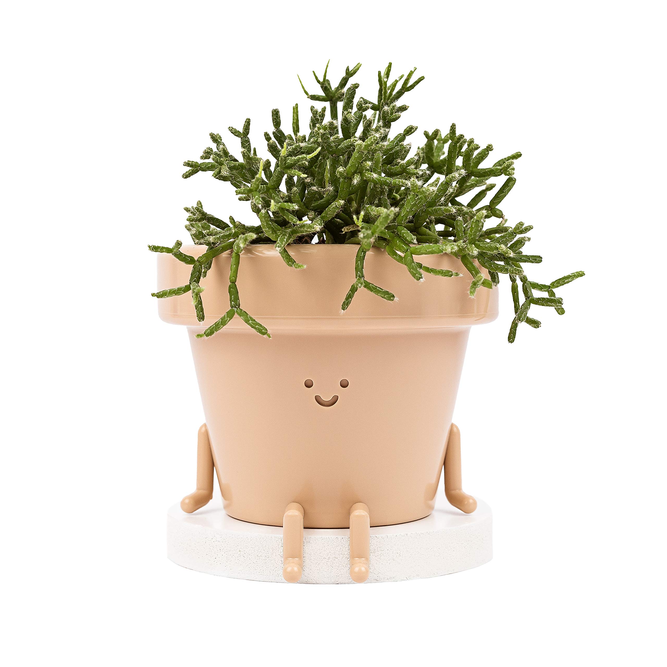 Original Earthlings + Sitting Indoor Plant Pot With Face
