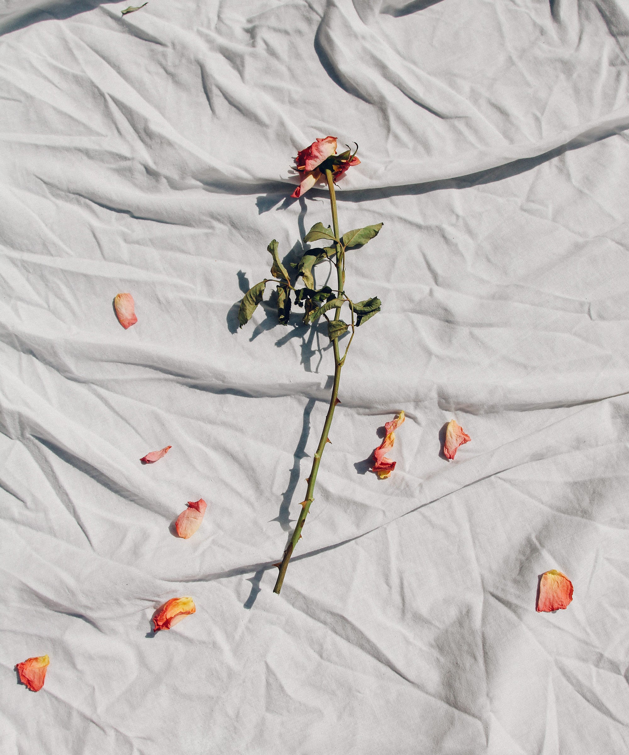 Wann wird ein Beziehungsstreit unverzeihlich?