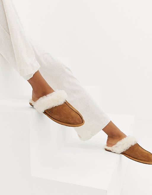 scuffette chestnut