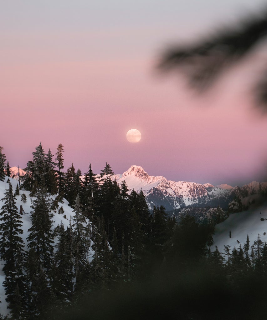 The Full Moon In Leo Is Asking: What Is Holding You Back?