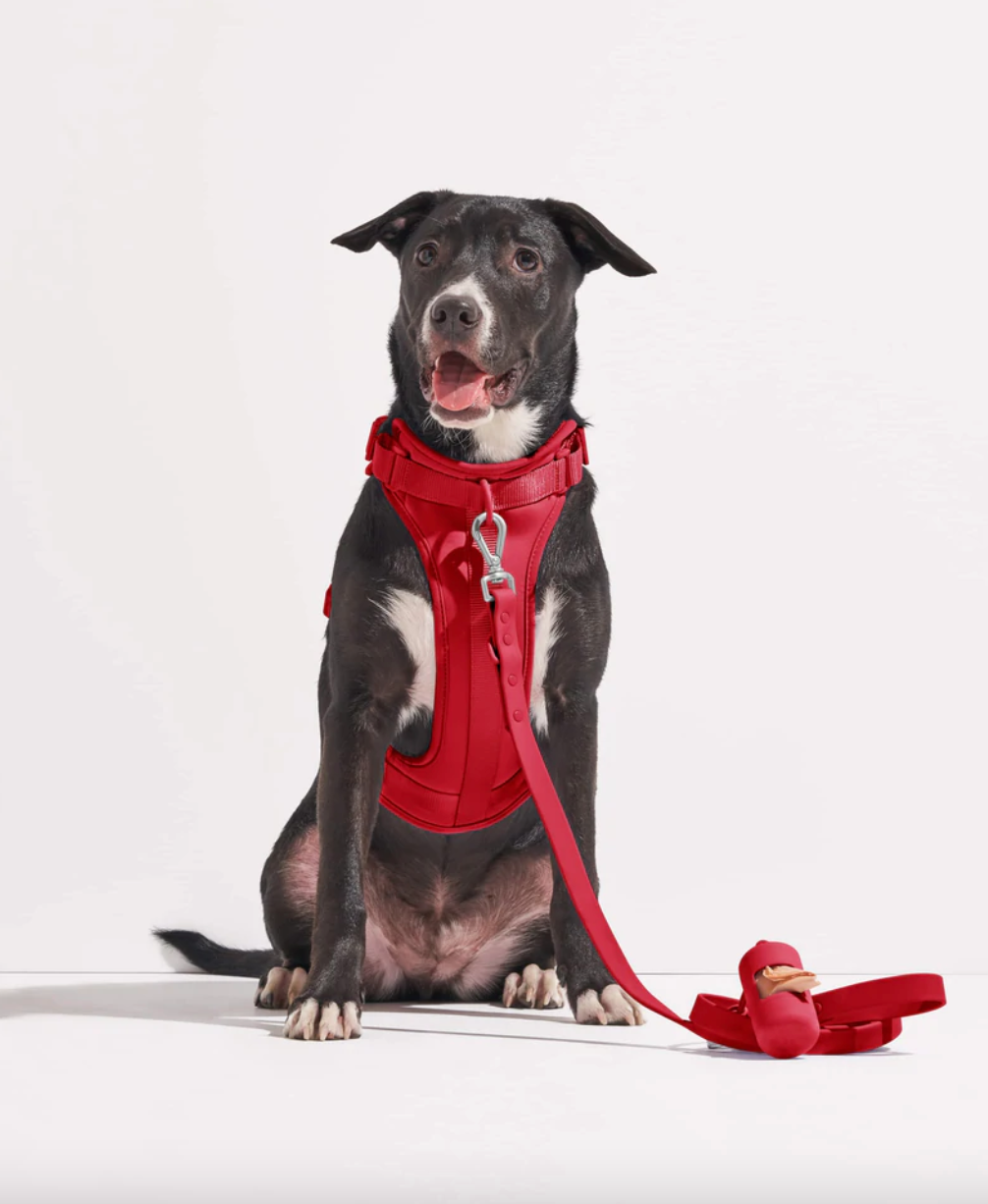 Luxury Inspired Chewy V Dog Bandana-Red