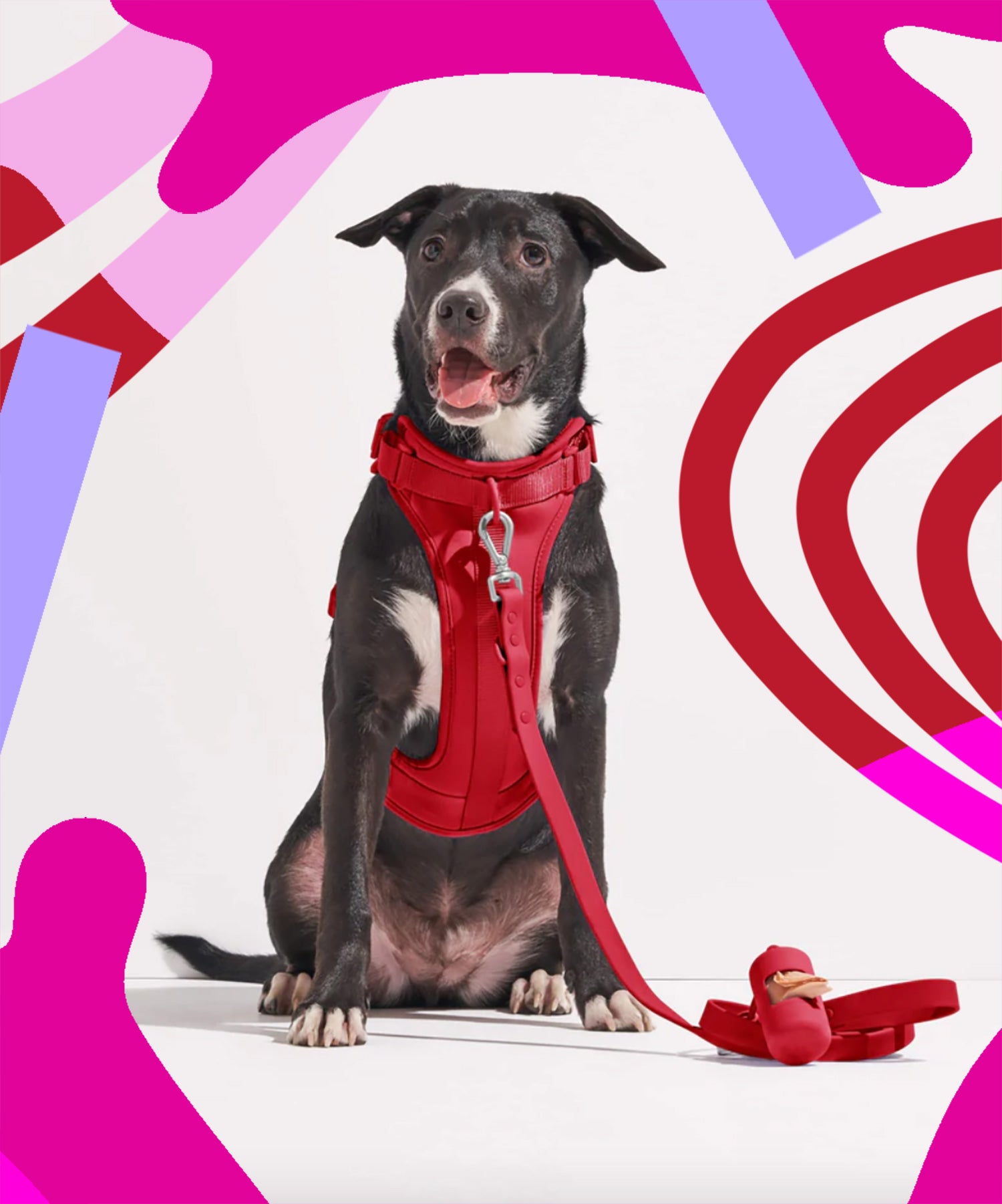 Ed love dog online harness
