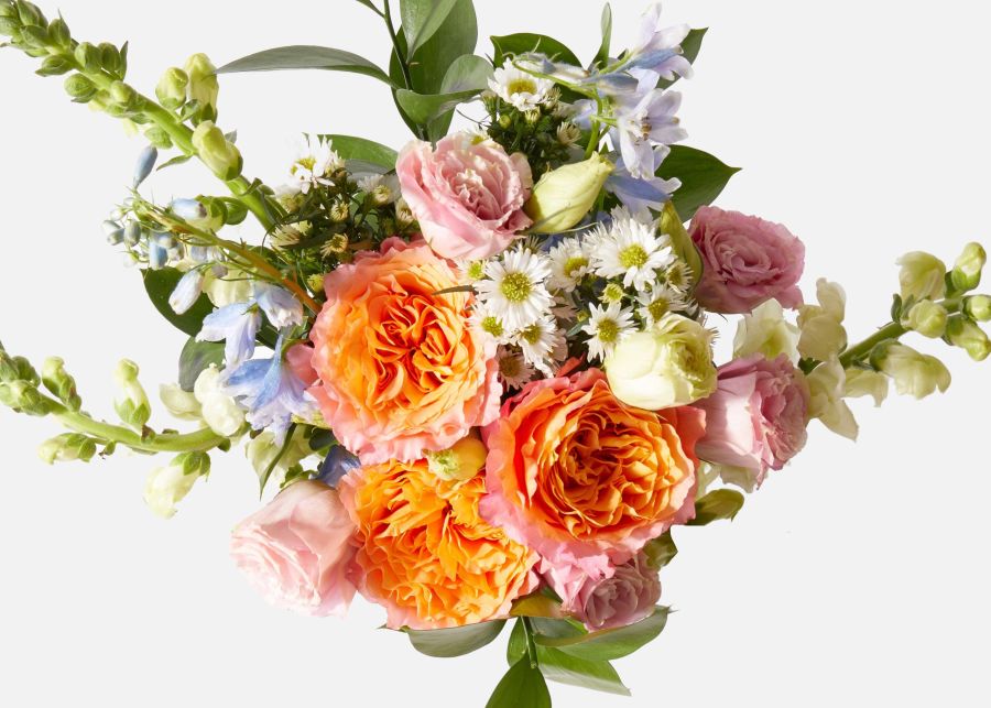 Urbanstems + The Juliet