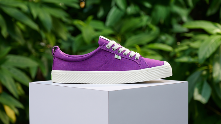 Cariuma 2025 sneakers amazon