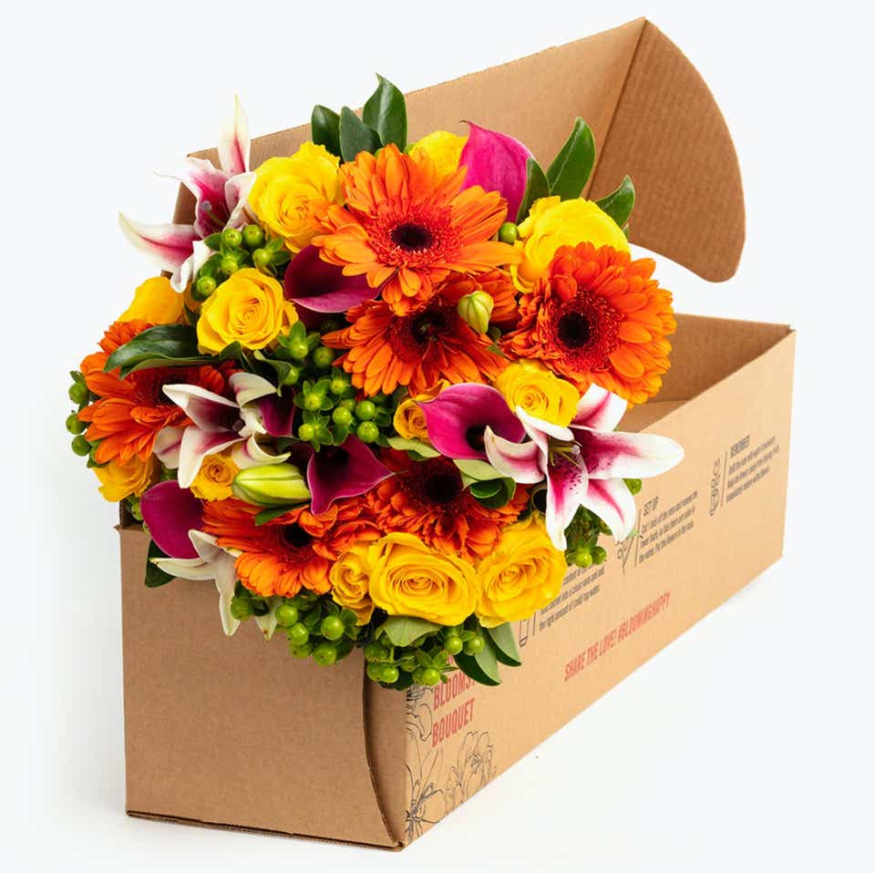 bloomsybox subscription