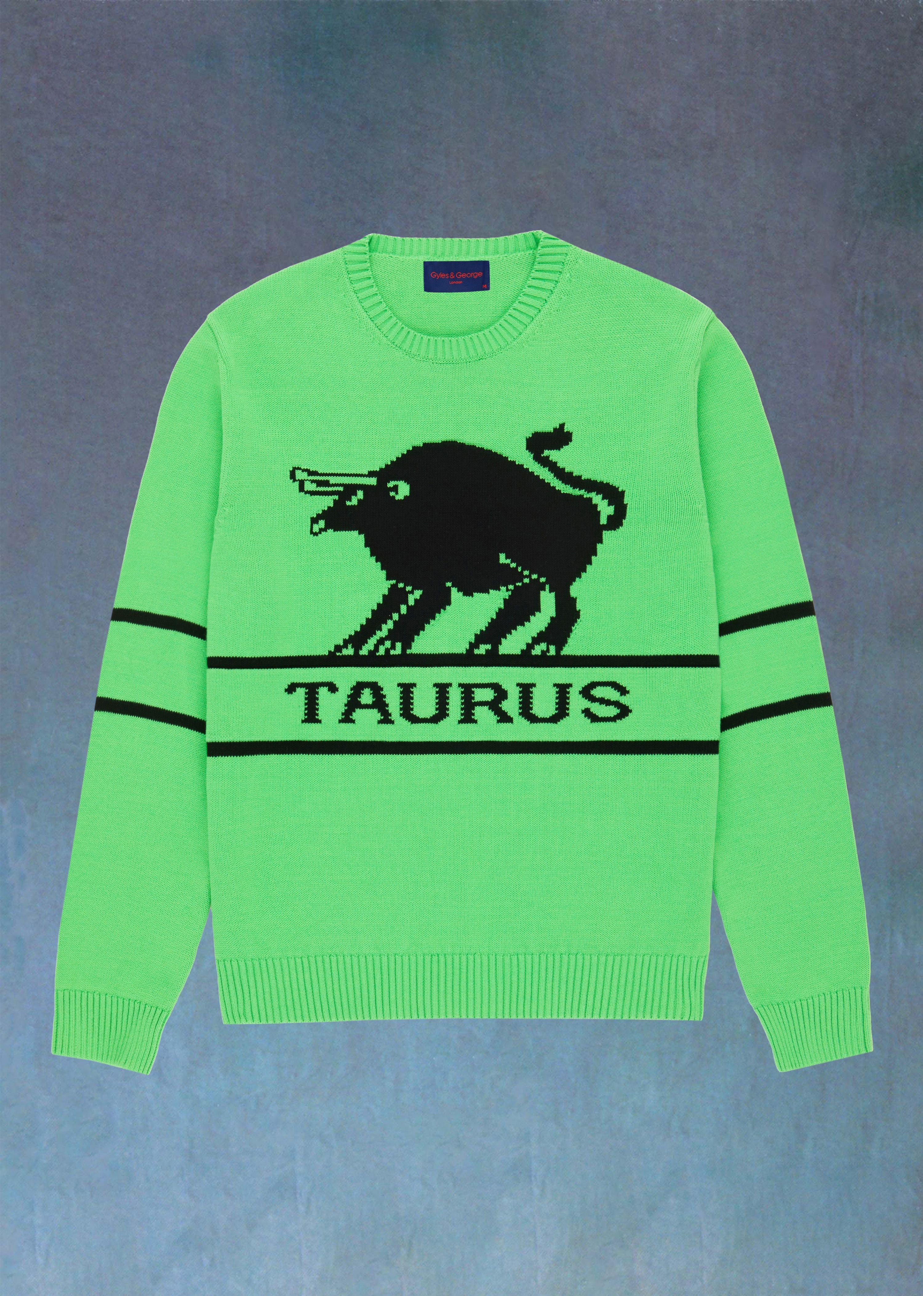 Taurus sweater 2025