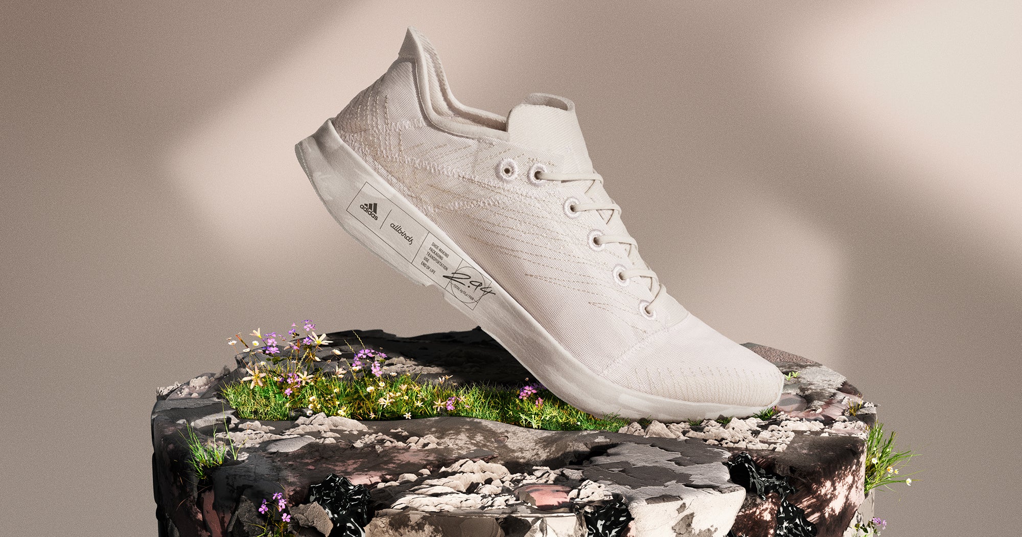 Adidas x Allbirds AdiZero Running Sneaker Review 2022
