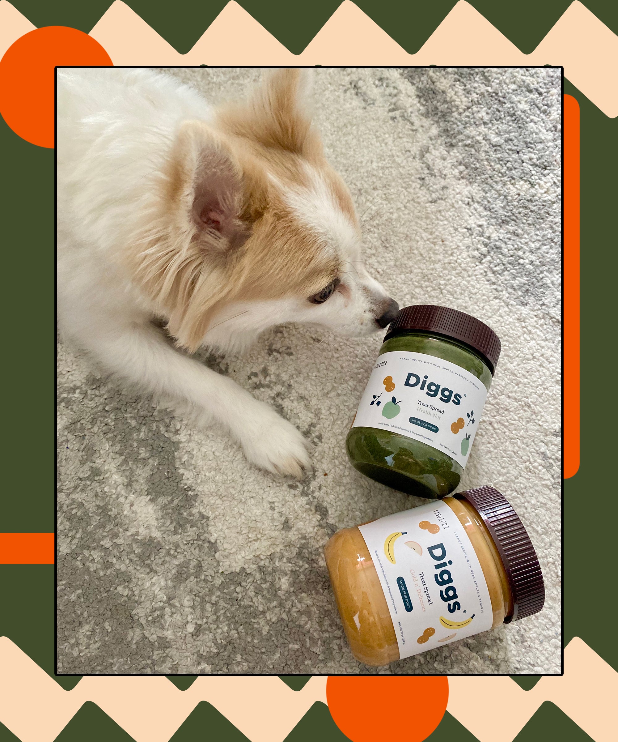 Diggs Spreadable PB Dog Treat Review 2022 - Main Image