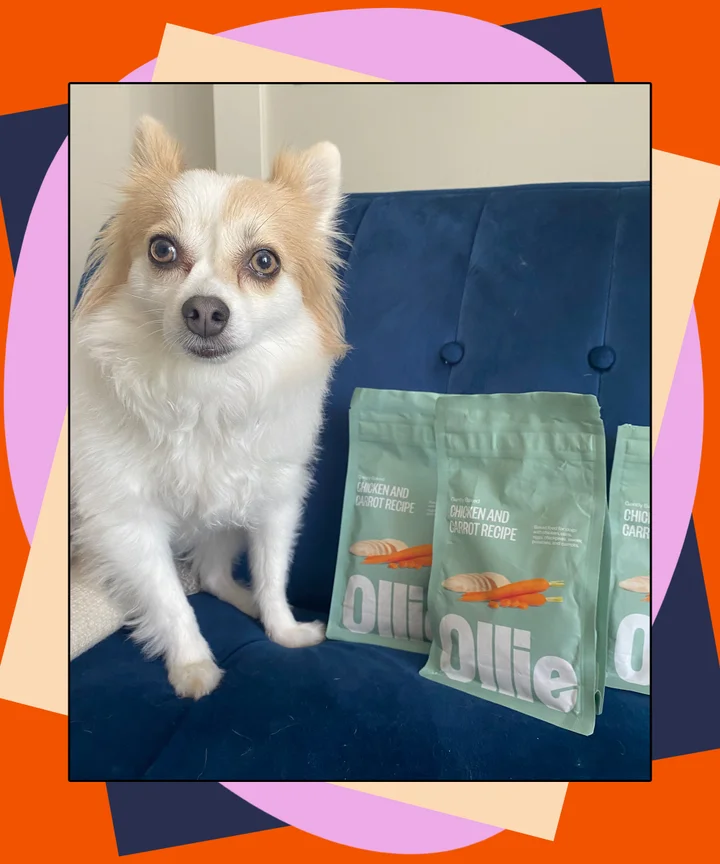 Ollie Baked Dry Dog Food Subscription For Dogs Review