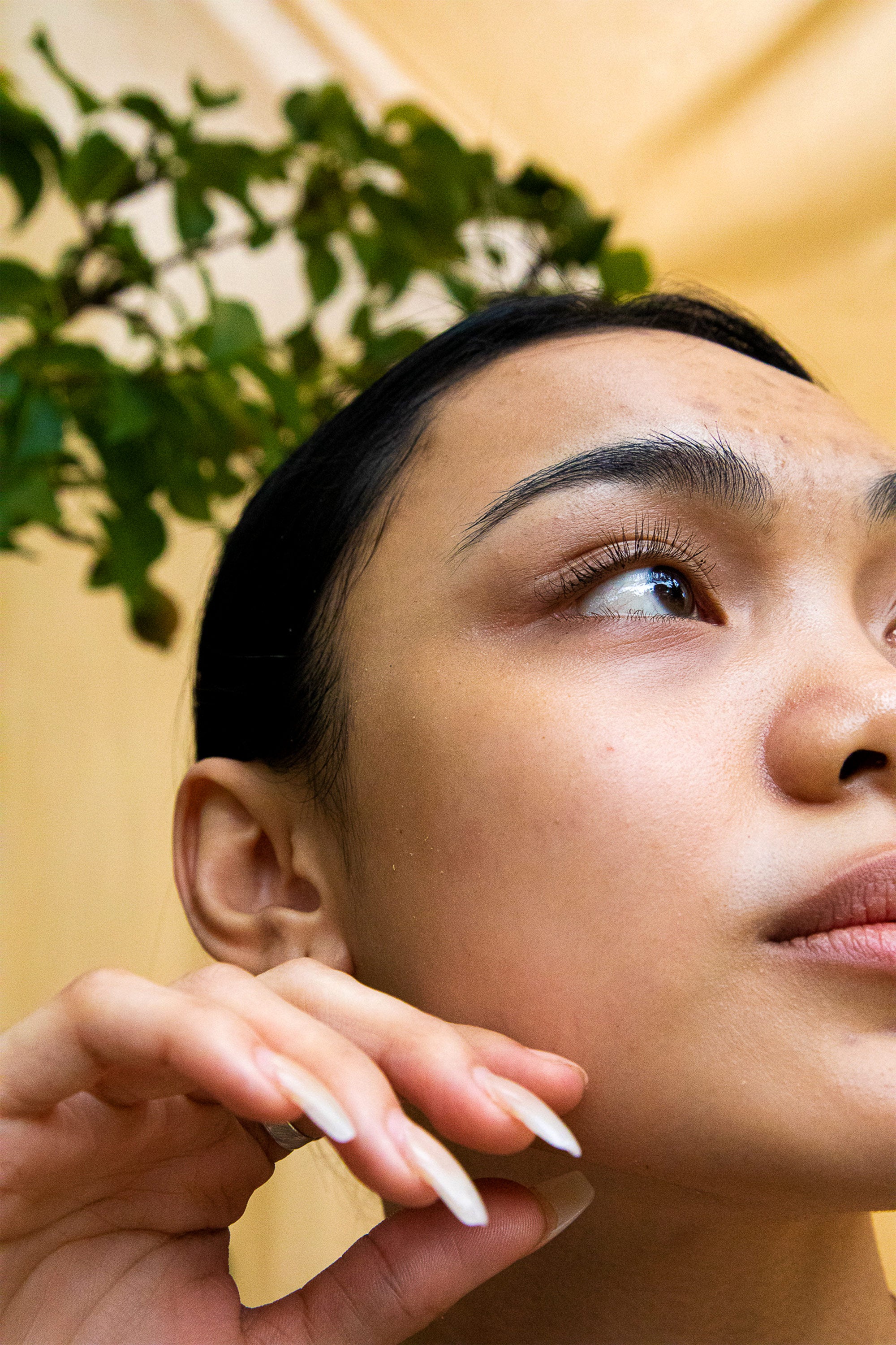 Urea on sale skin care