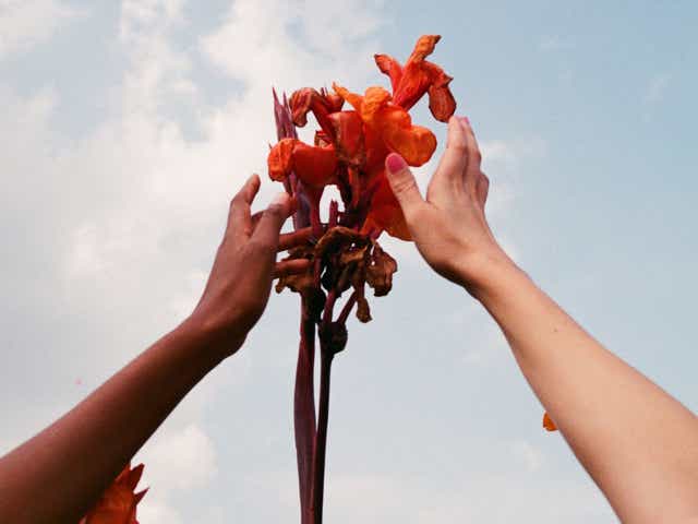 Two individual hands reaching for a red flower against a blue cloudy sky