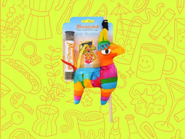 a rainbow llama catnip toy over a yellow background with orange line drawings of various objects Money Diarists purchase.