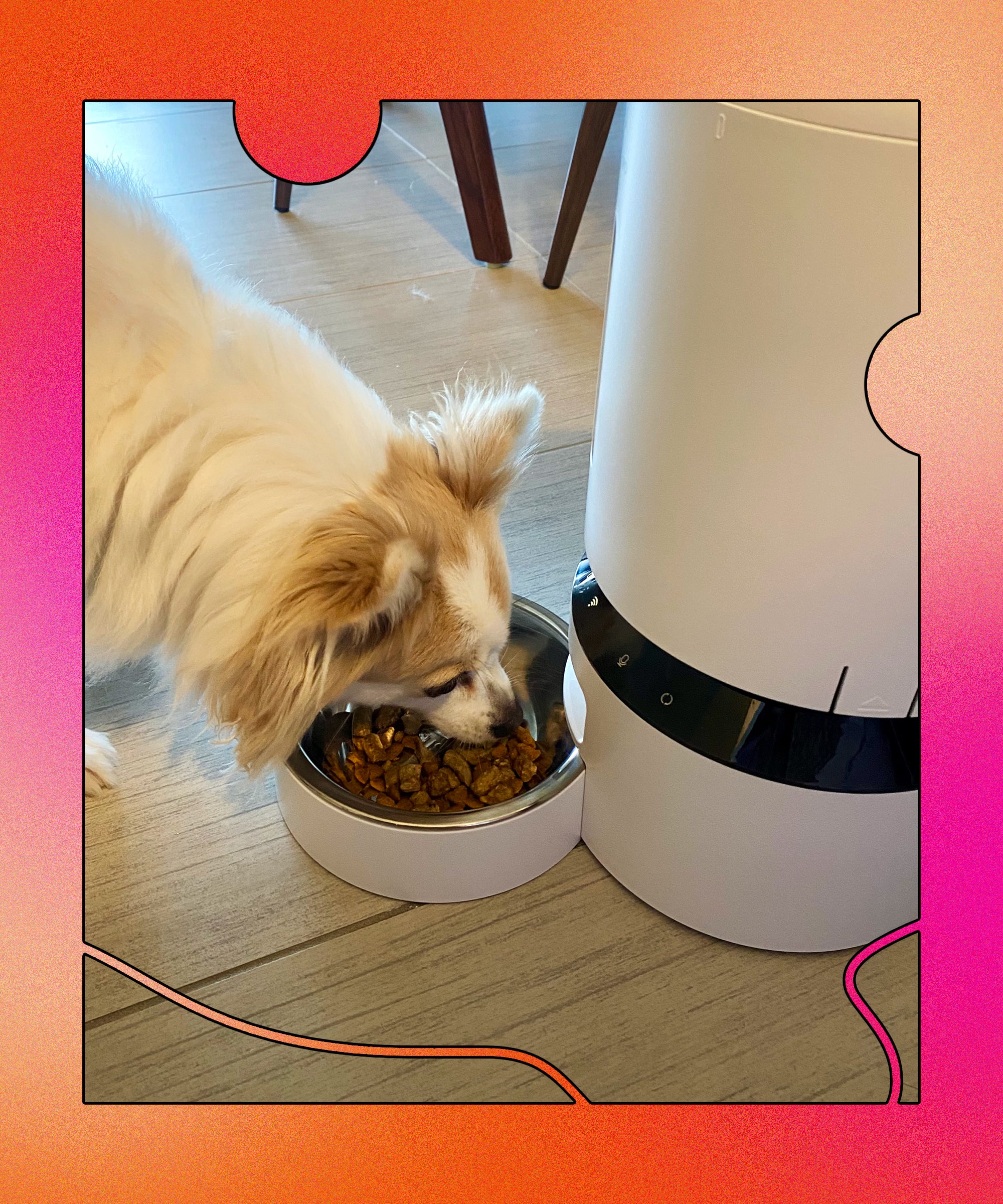 Kibble Connector - Dog Food Dispenser –