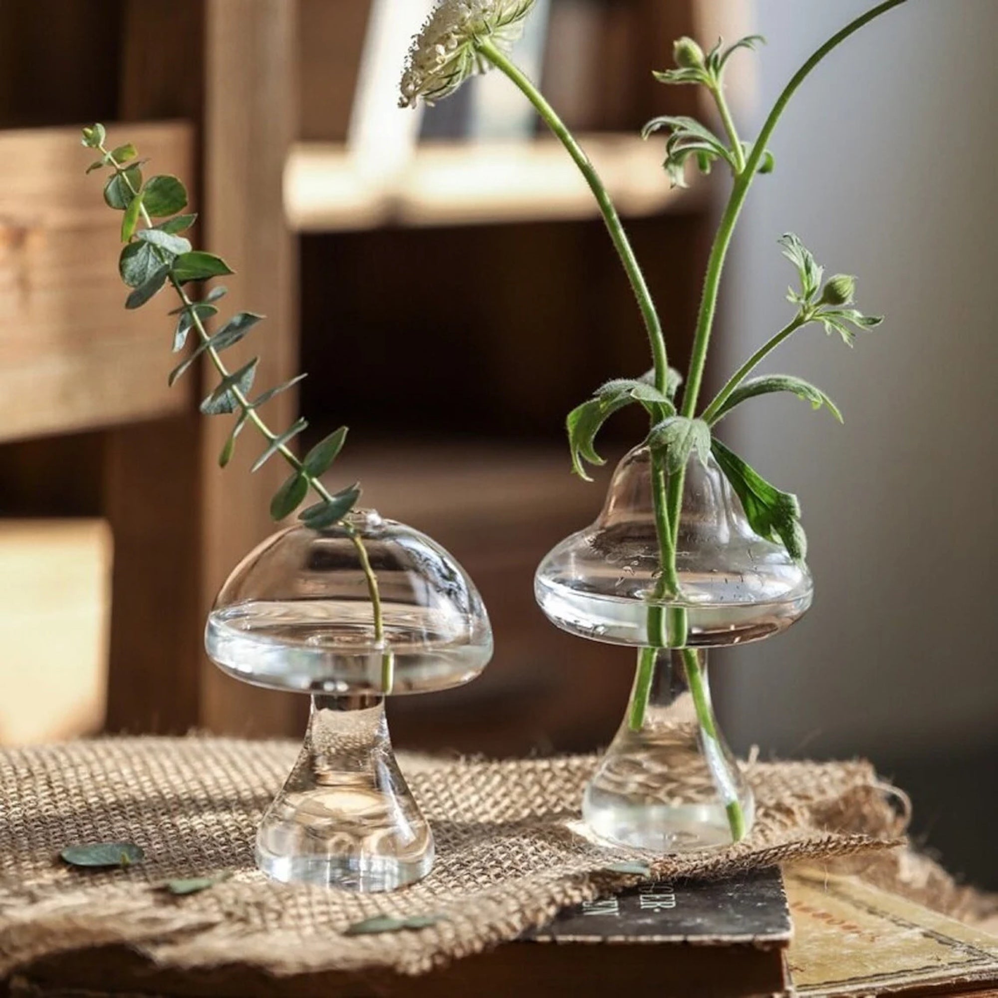 Trend Goods Warehouse + Mushroom Shaped Glass Vase