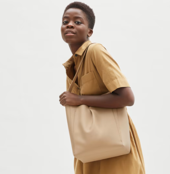 Everlane top leather tote