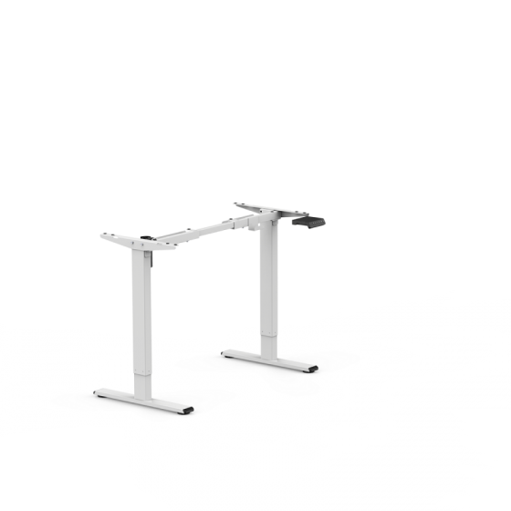 Flexispot + Standard Standing Desk (E1 Pro)