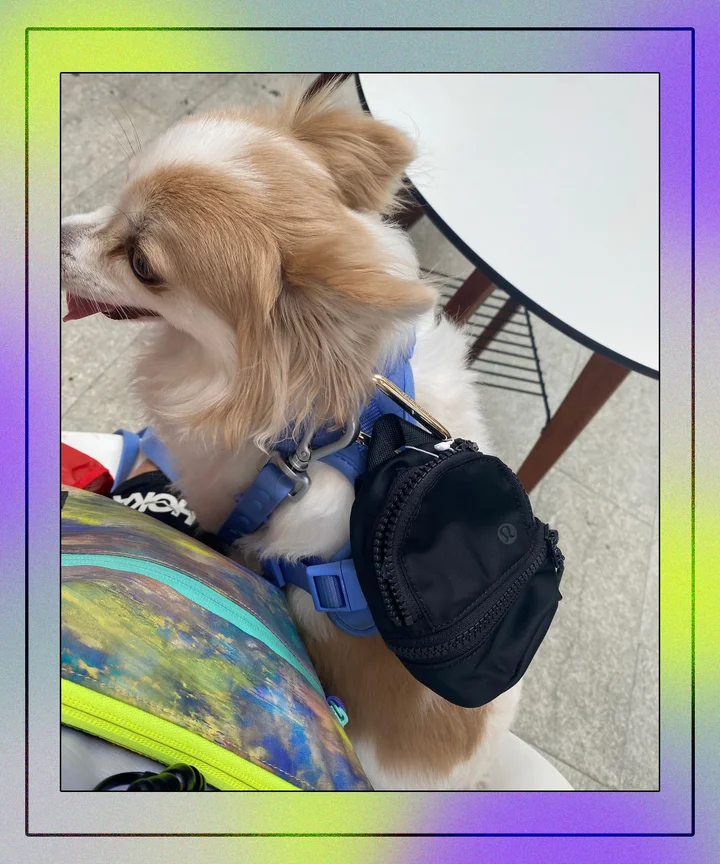 Lululemon backpack dogs Clearance