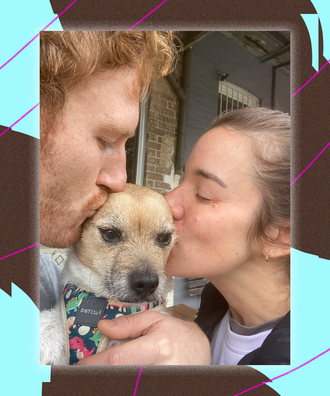 Why Some Dogs Don T Like To Cuddle