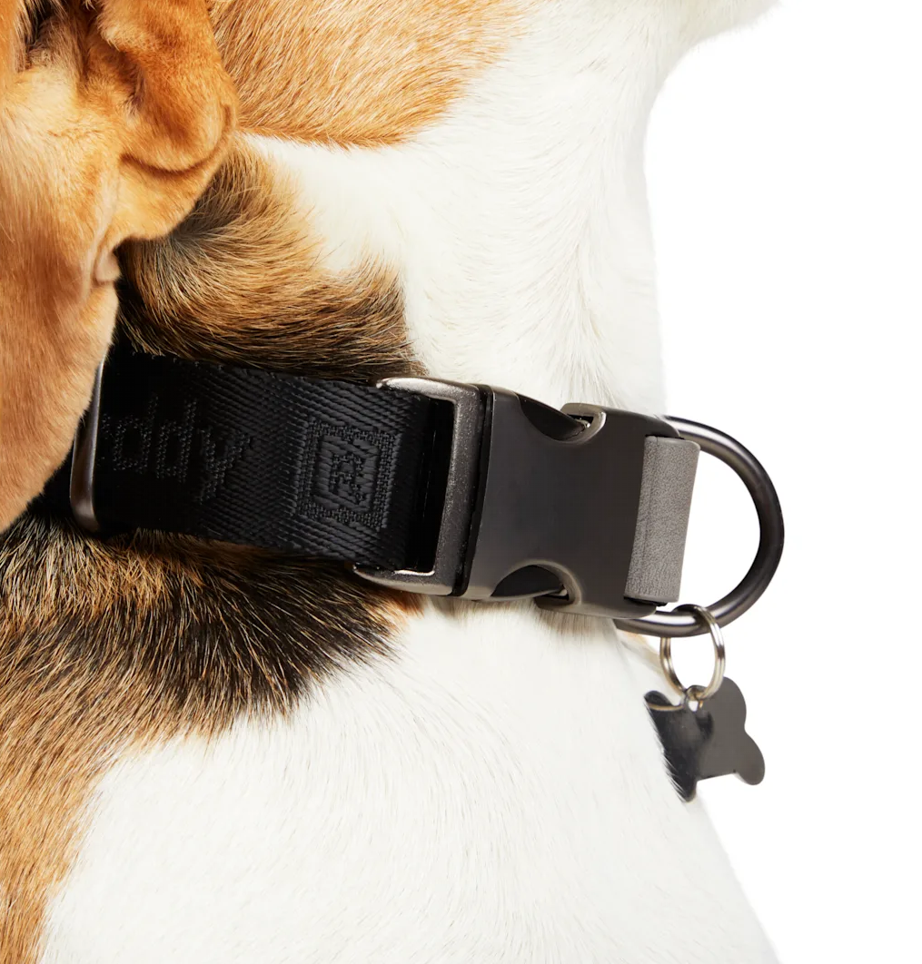 The Best Dog Collars of 2022 as Rated by Pet Parents Like You