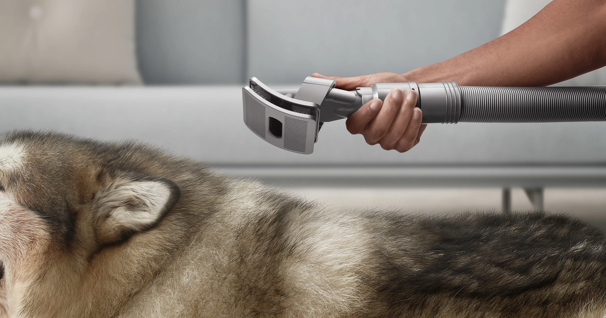 Dyson’s New Attachment Turns Your Vacuum Into A Pet-Grooming Machine