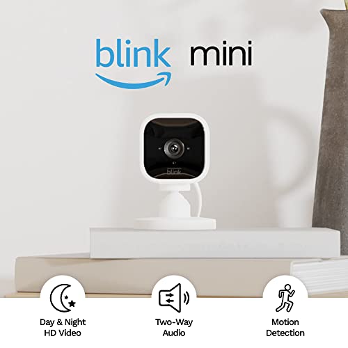 blink home + Blink Mini