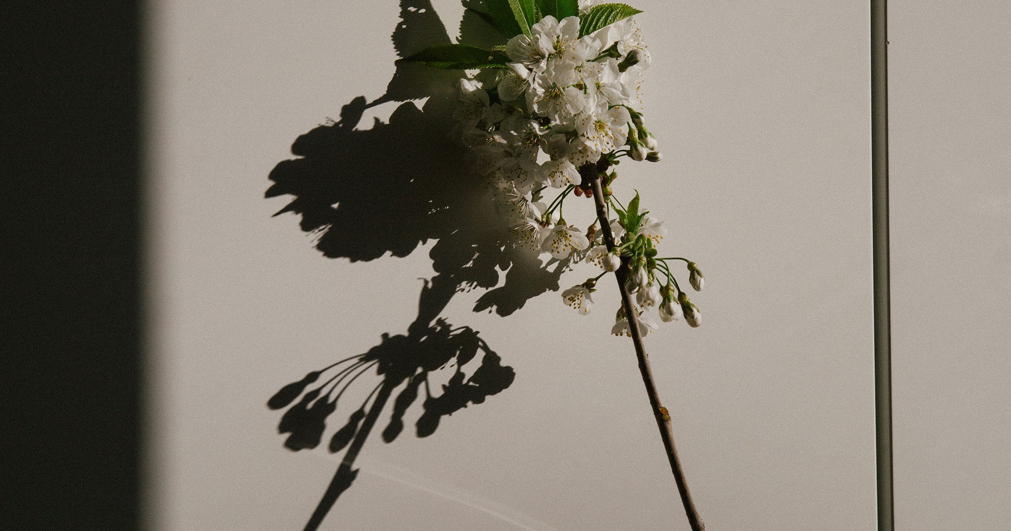 grieving-before-death-how-to-manage-anticipatory-grief