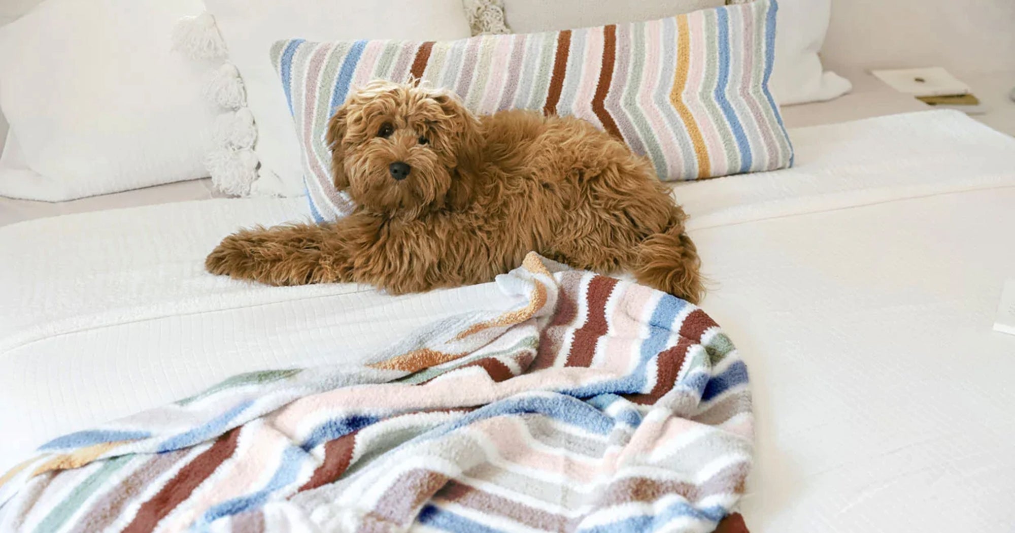 21 Best Planners For Staying Organized In 2022