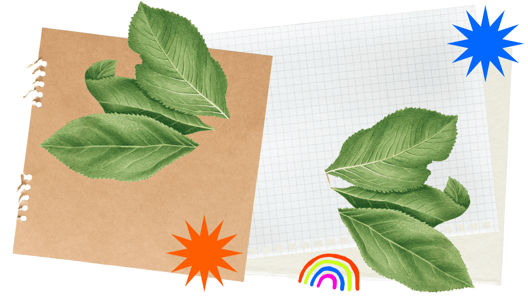 Collage of paper, leaves, a rainbow and stars.