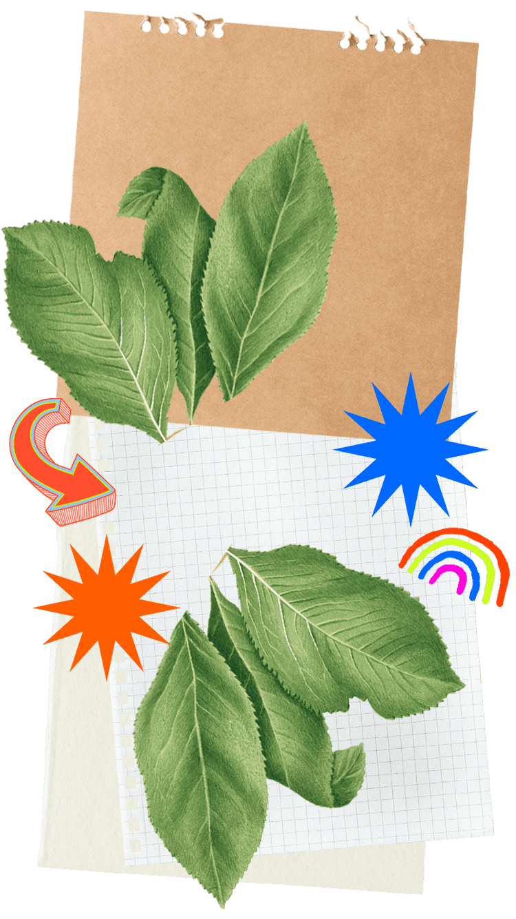 Collage of paper, leaves, a rainbow and stars.