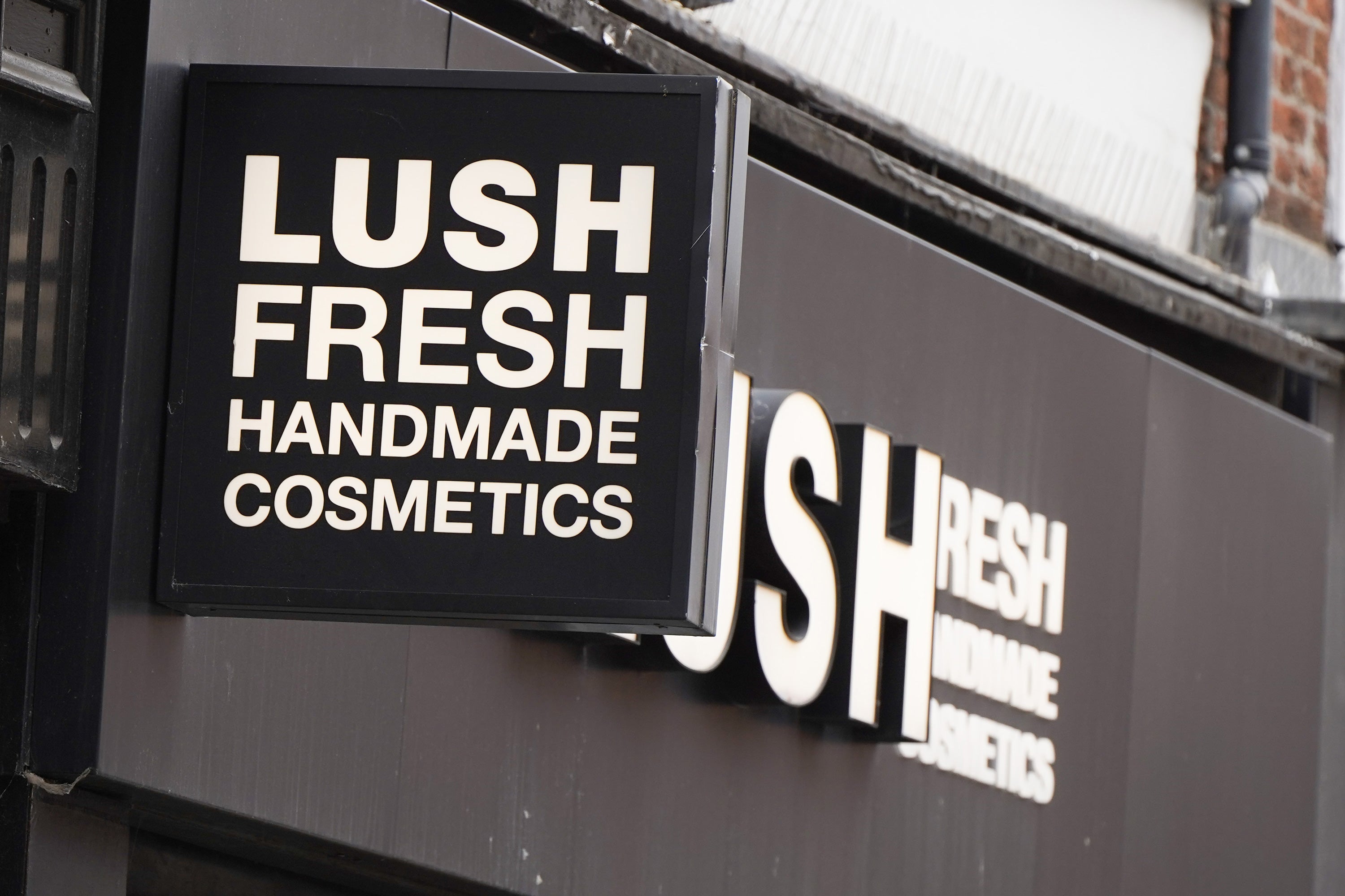 Lush makeup clearance