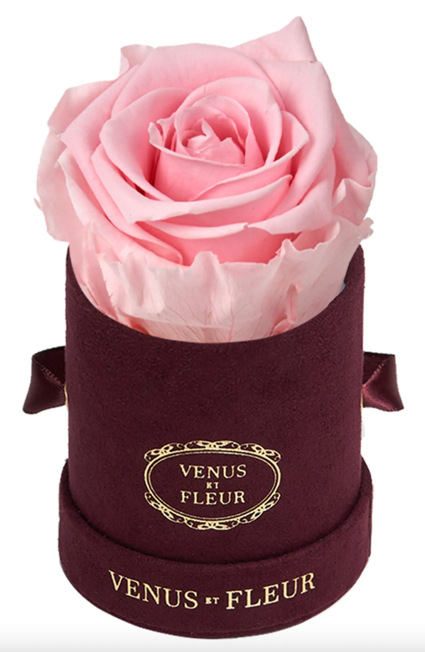 Venus Et Fleur + Classic Le Mini Round Eternity Rose