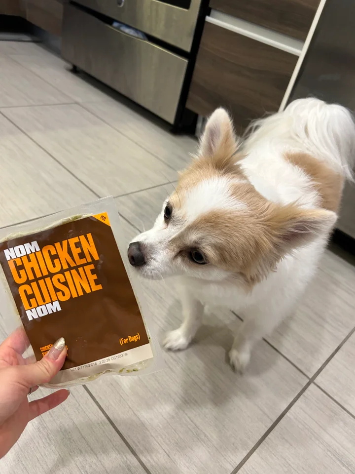 Nom Nom Dog Food Review 2023