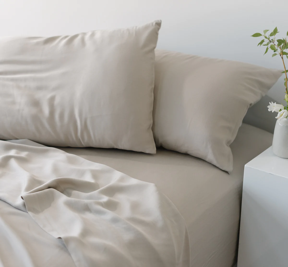 Cozy Earth + Bamboo Sheet Set