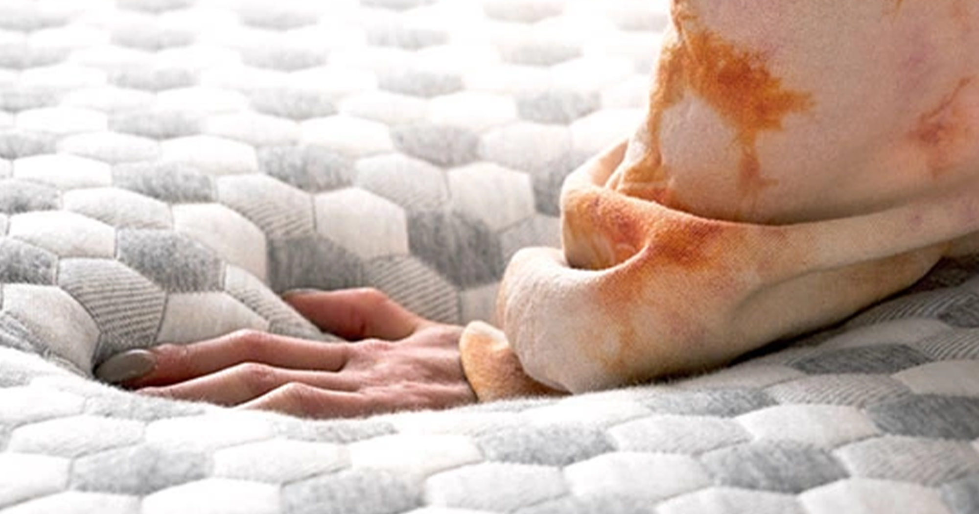 8 Best Memory Foam Mattresses According To Reviews