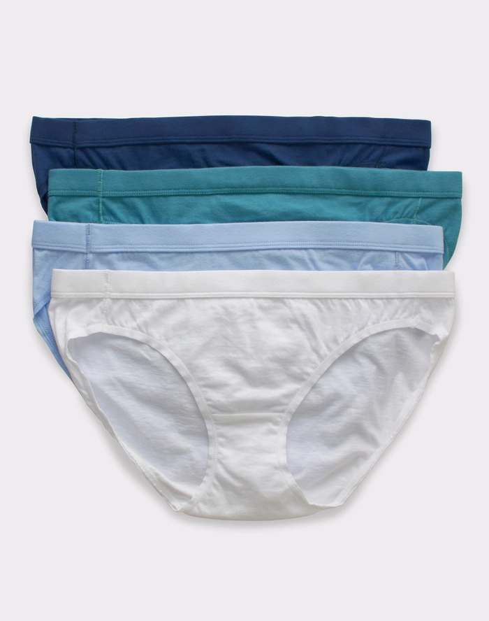 Hanes + Pure Comfort Organic Cotton Bikini 4-Pack