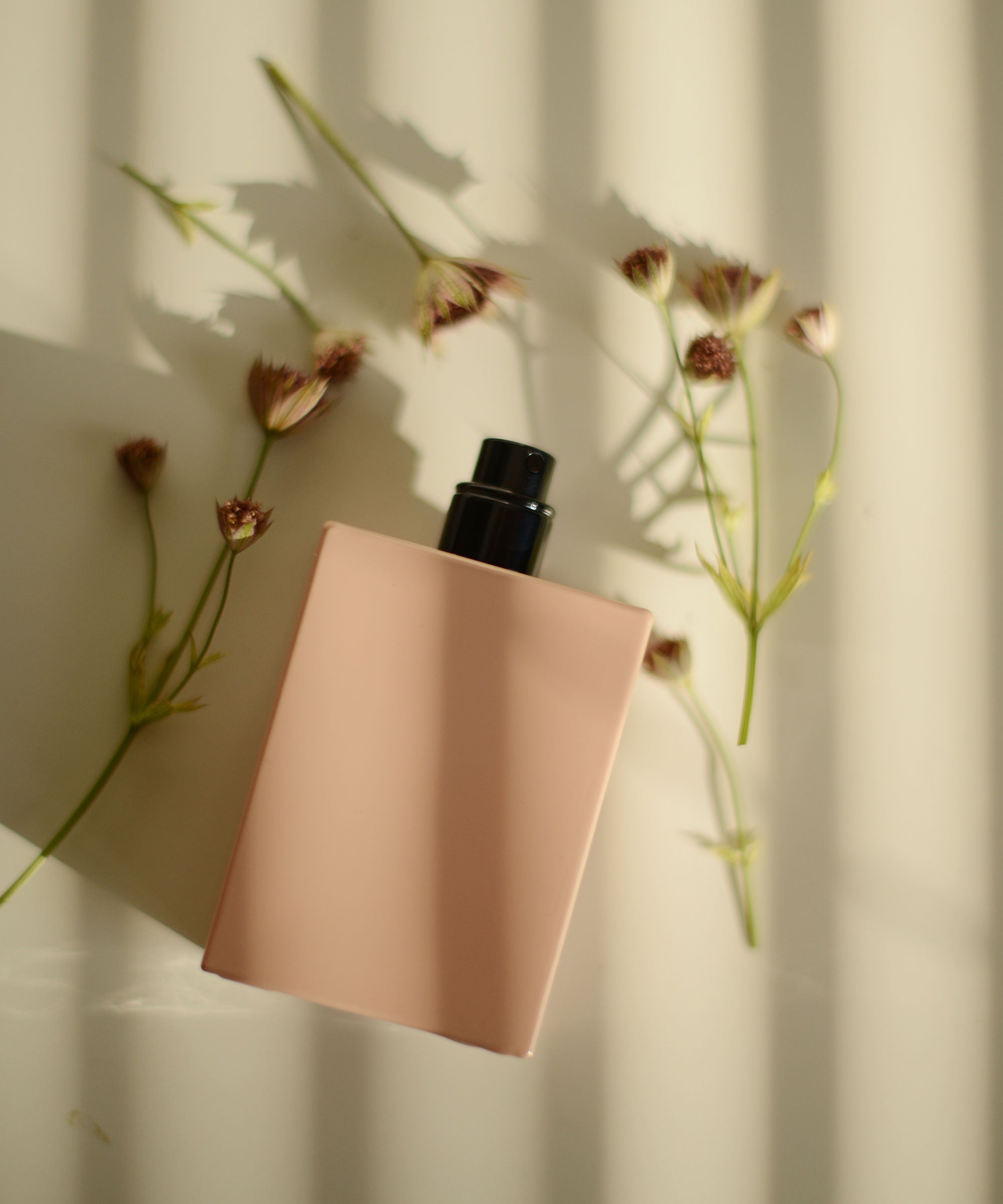 Perfume differences 2025