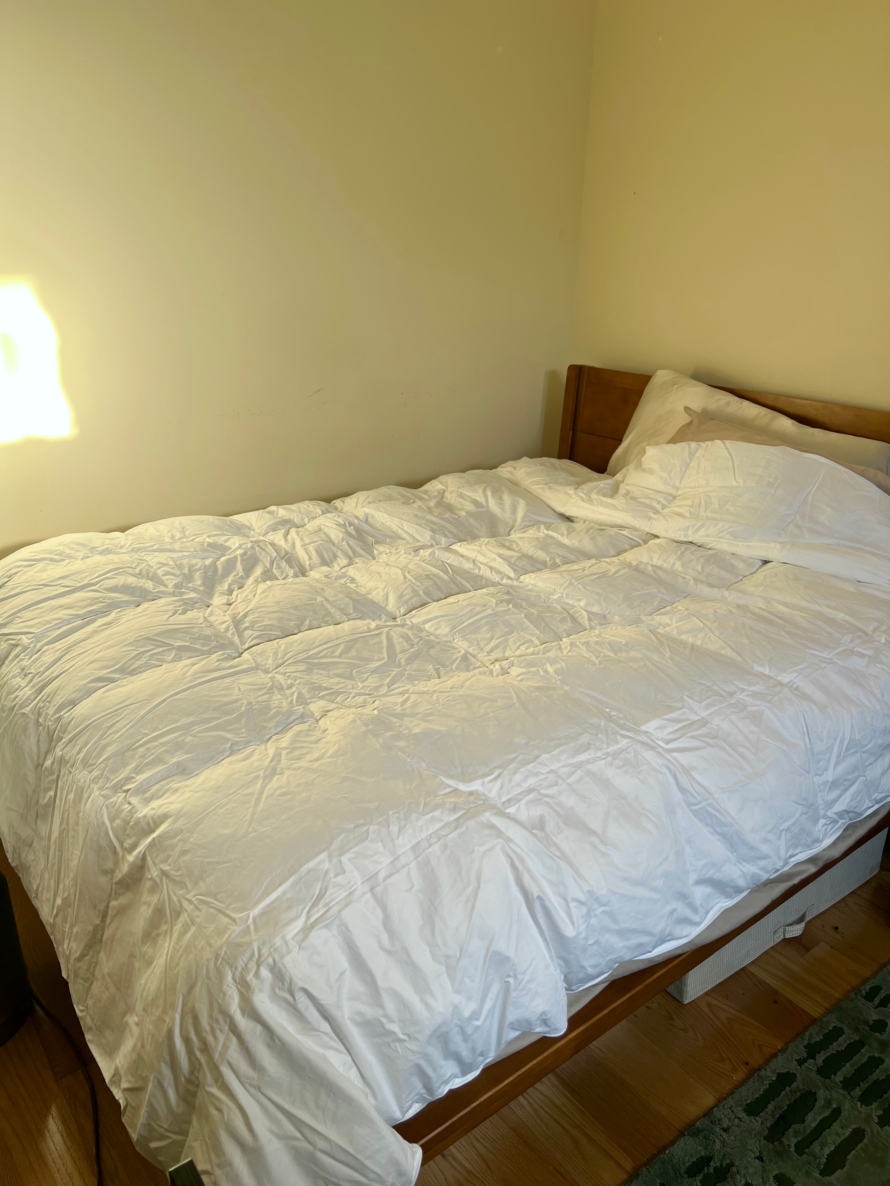 quince premium down comforter