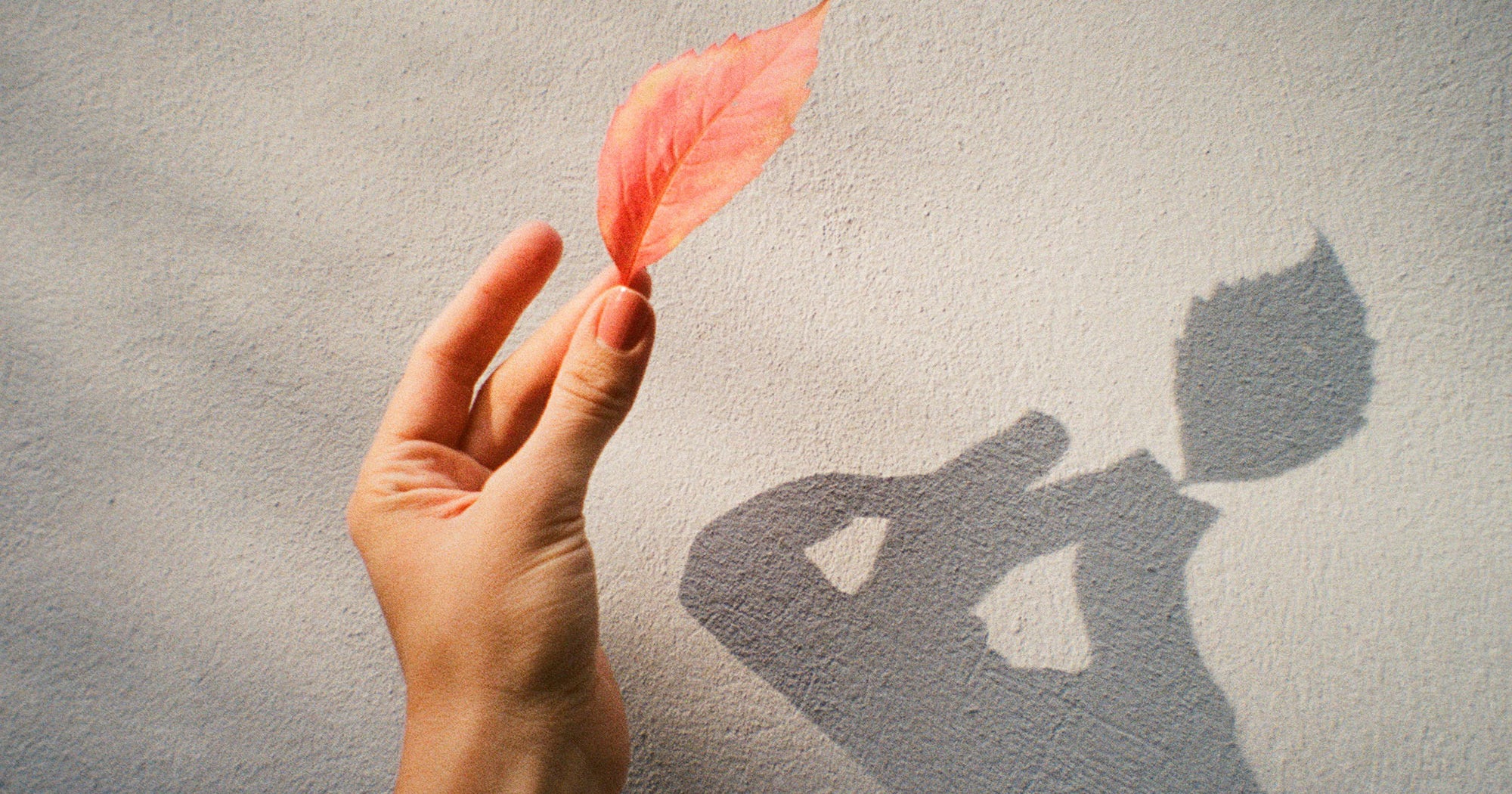 The Difficult Truth About Our Manicure Obsession The Difficult Truth About Our Manicure Obsession