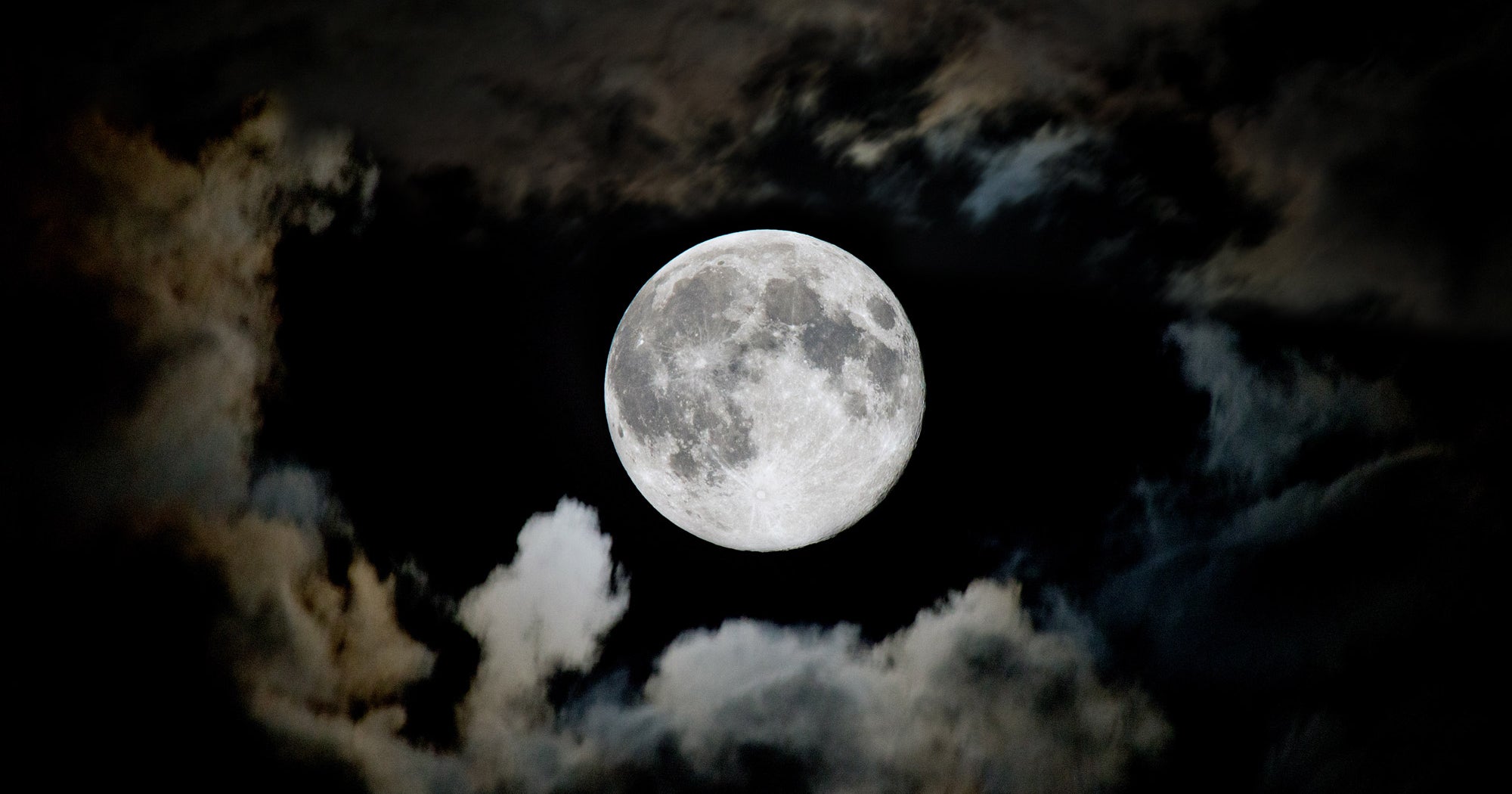 The Scorpio Flower Lunar Eclipse Will Be Full Of Surprise, Chaos & Unpredictability The Scorpio Flower Lunar Eclipse Will Be Full Of Surprise, Chaos & Unpredictability