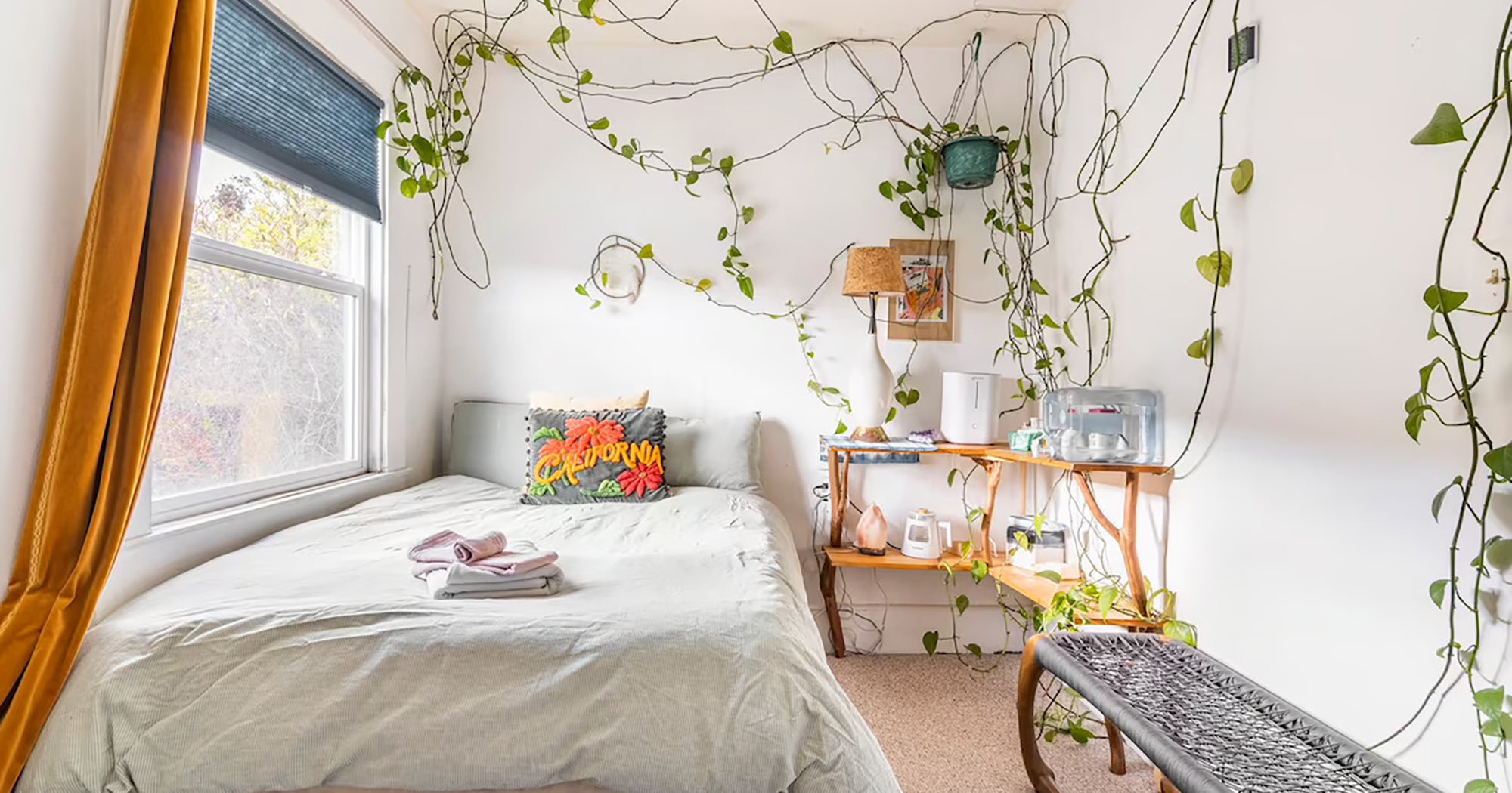 Airbnb Launches New Room Category Filter; Best Rooms