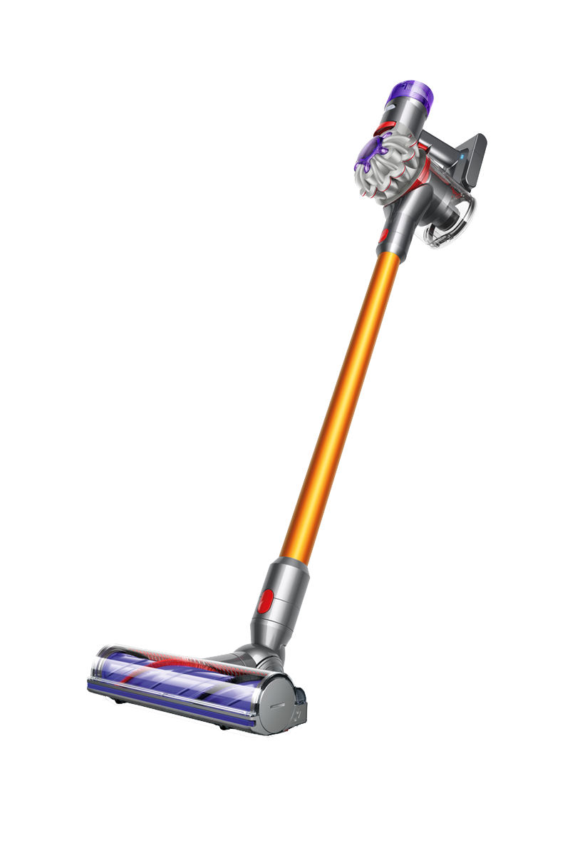 Dyson + V8 Absolute