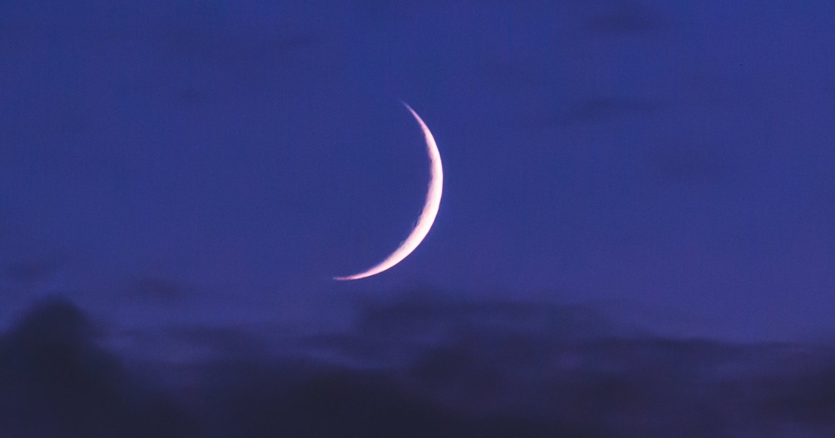 the-new-moon-in-leo-2023-will-bring-a-wild-lunation